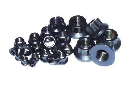 ARP 1/4 in.-20 RH Thread 12 Point Nuts - Set of 10