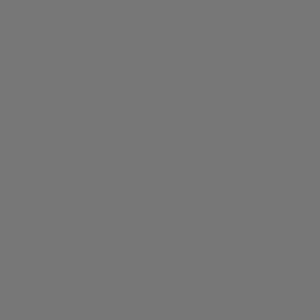Covercraft 16-24 Chevrolet Express/GMC Endura PrecisionFitFront Row Seat Covers - Silver/Silver thumbnail 2