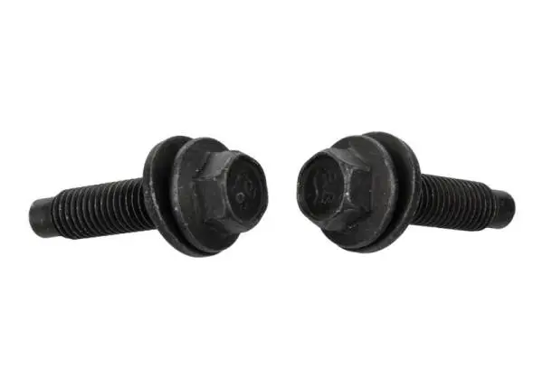 Ford Racing FPP Bead Lock Ring Bolt Kit thumbnail 6