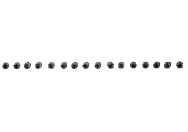 Ford Racing 302/351W Hydraulic Roller Cam Lifters (Set of 16) thumbnail 11