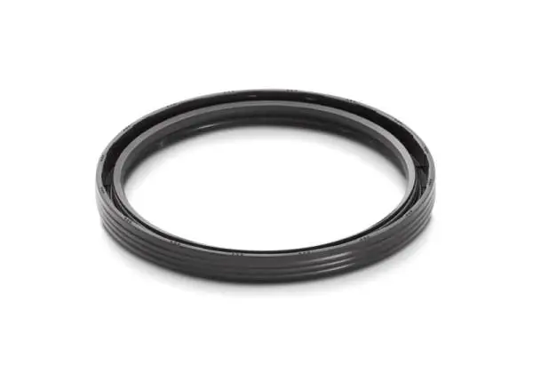 Ford Racing 302 One Piece Rear Main Oil Seal thumbnail 10