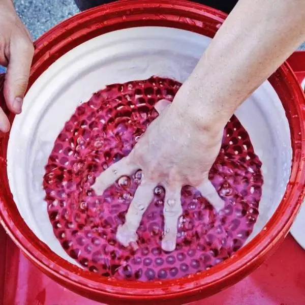 Chemical Guys Cyclone Dirt Trap Car Wash Bucket Insert - Red thumbnail 5