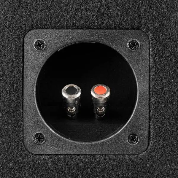 DS18 Dual 10in Loaded 800 Watts RMS 2x GEN-X104D Ported Enclosure Speakers Included image 2