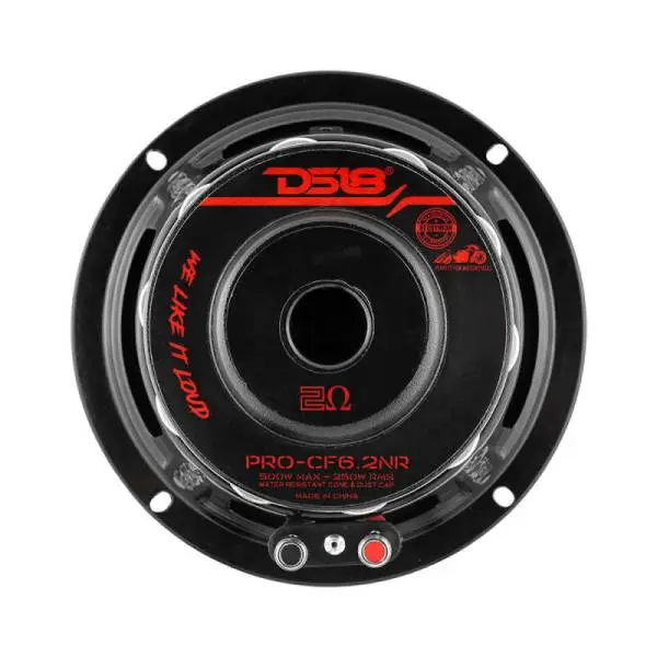 DS18 6.5in 250 Watts RMS 2 ohm Mid-Bass Loudspeaker Neodymium image 2