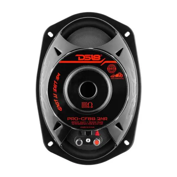 DS18 6x9in 300 Watts RMS 2 ohm Mid-Bass Loudspeaker Neodymium image 2