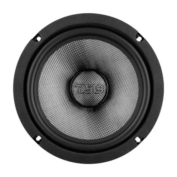 DS18 8in 300 Watts RMS 2 ohm Mid-Bass Loudspeaker Neodymium image 5