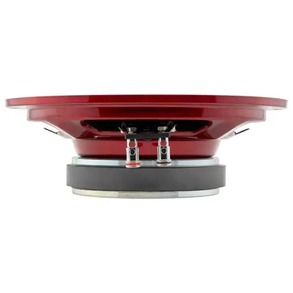 DS18 8in 250 Watts RMS 2 ohm Mid-Range Loudspeaker Shallow image 7