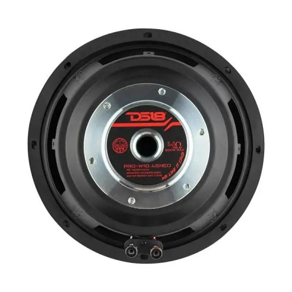 DS18 10in 350 Watts RMS 2 ohm Neodymium Cone Woofer
