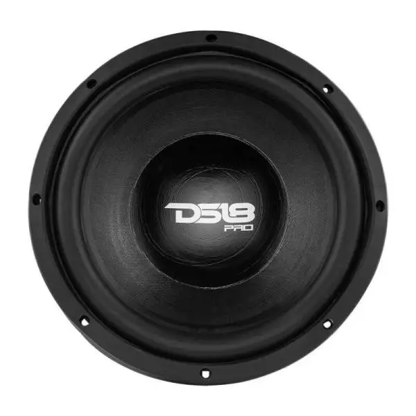 DS18 10in 350 Watts RMS 2 ohm Neodymium Cone Woofer image 4