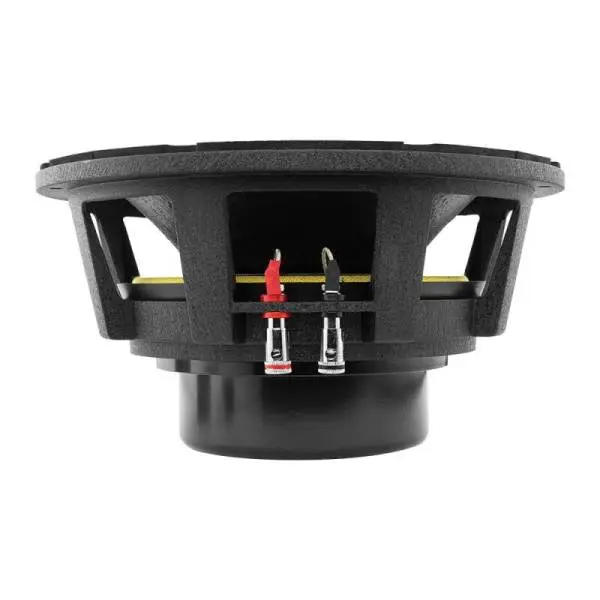 DS18 10in 1000 Watts RMS 8 ohm Neodymium Mid-Bass Loudspeaker image 6