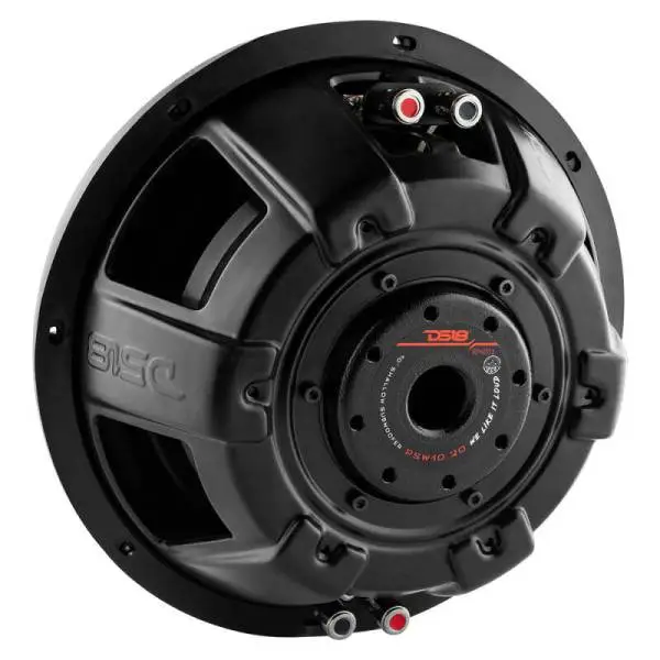 DS18 10in 500 Watts RMS 2 ohm DVC Shallow Mount Water Resistant Subwoofer image 2
