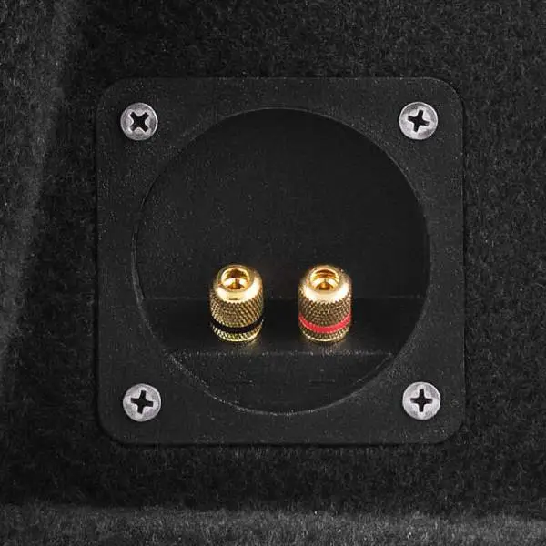 DS18 Dual 12in Shallow Subwoofer and Enclosure 700 Watts RMS Sealed Black Carpet image 3